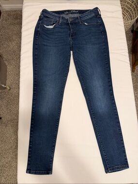 Universal Thread Dark Indigo Skinny Jeans